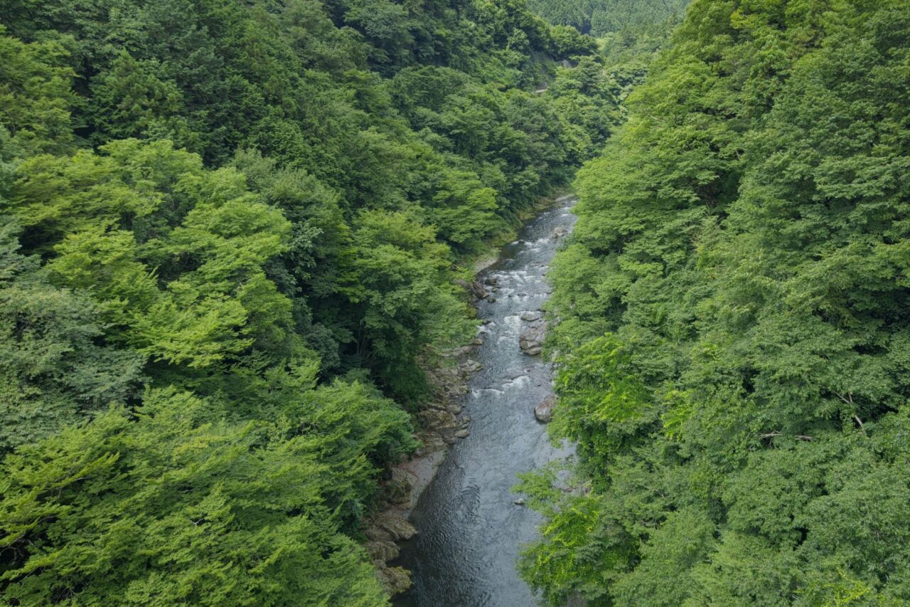 大多摩ウォーキングトレイル