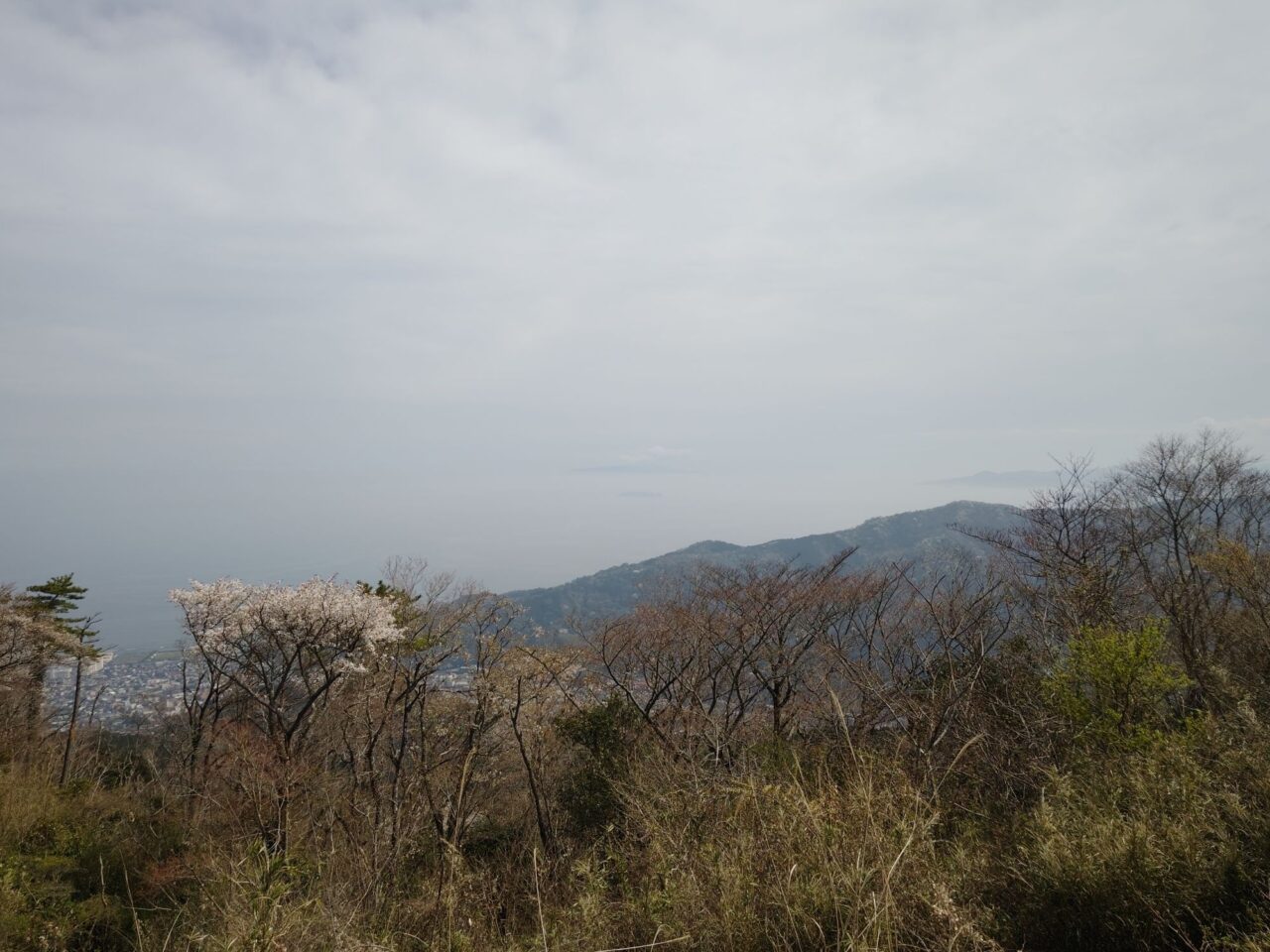 湯河原城山ハイキング