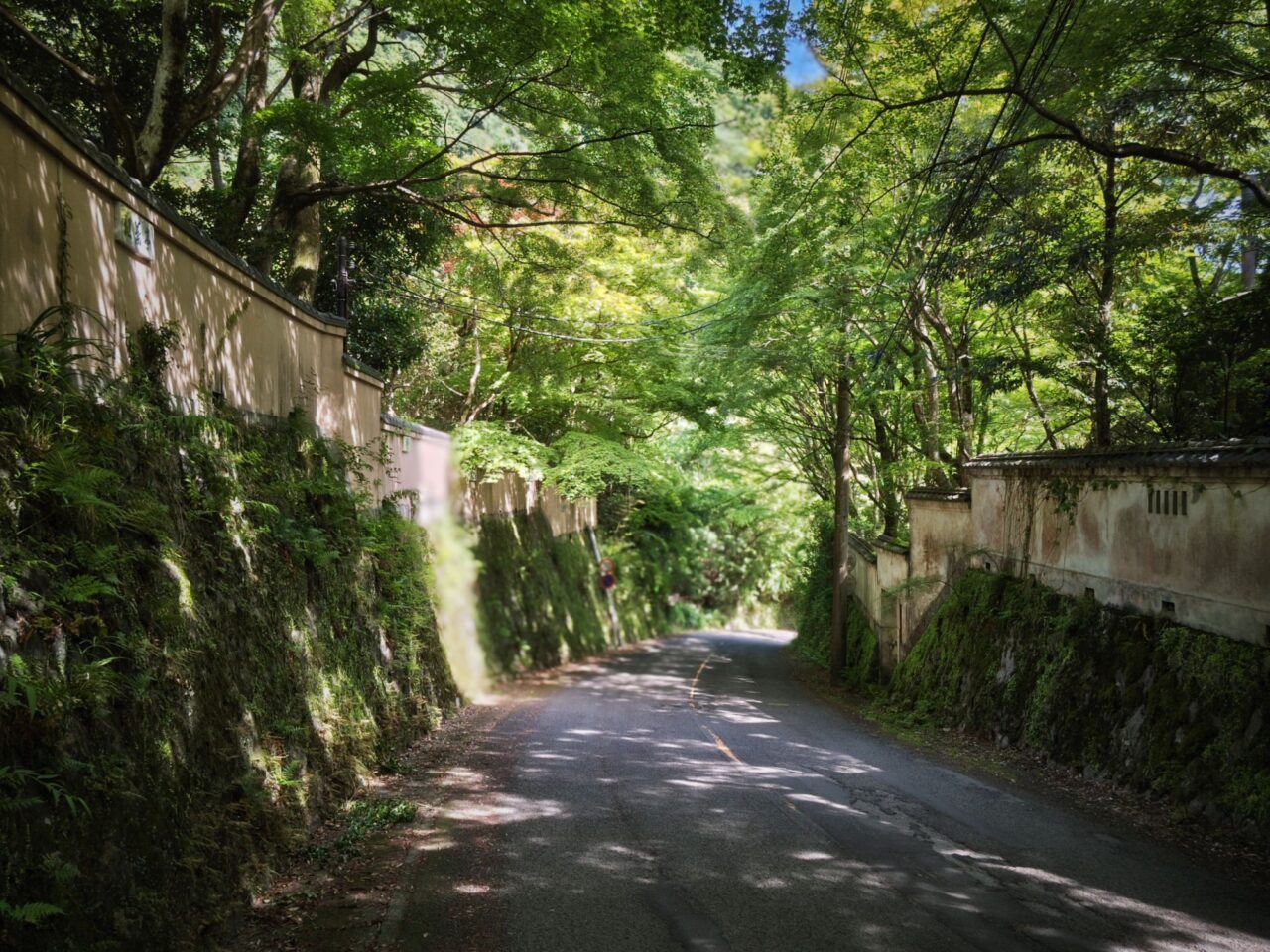 真鶴から奥湯河原へサイクリング