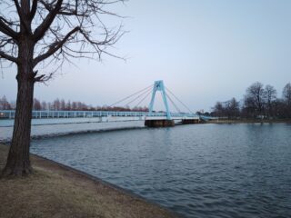 水元公園ウォーキング